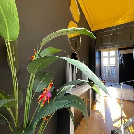 The Apartment *