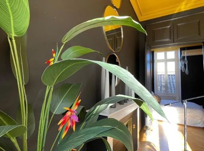 The Διαμέρισμα *