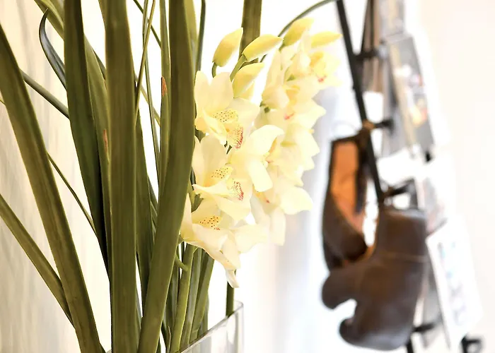 The Διαμέρισμα